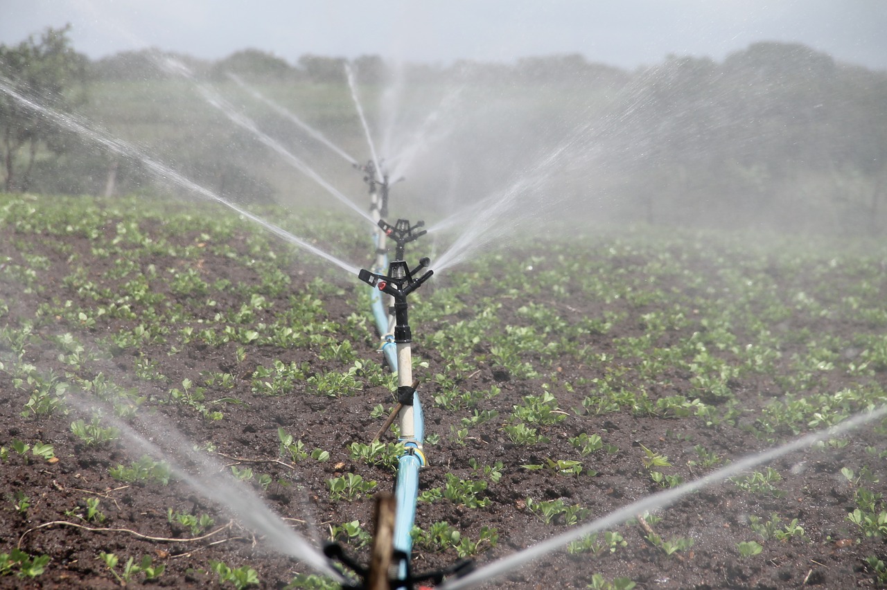 基于PLC控制的远程智能化灌溉系统